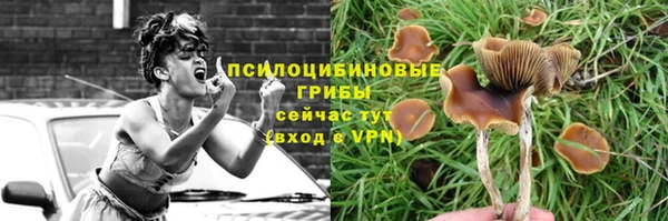 скорость Алексеевка