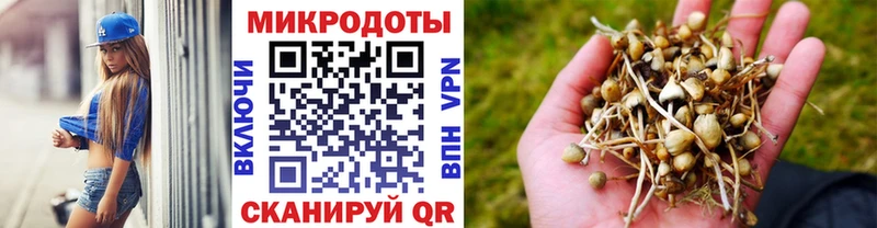 KRAKEN ССЫЛКА  Нижняя Салда  Псилоцибиновые грибы Psilocybine cubensis 